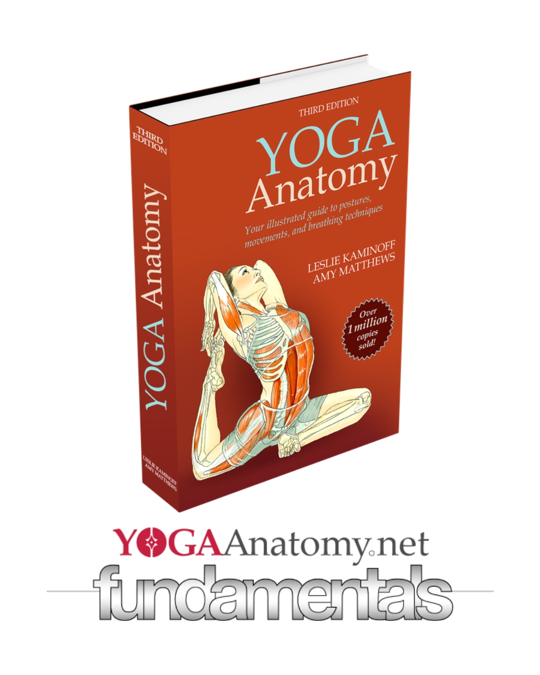Yoga Anatomy Fundamentals (Yoga TTC)